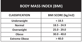 bmi calculator fametrics fitness