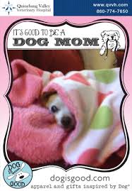 Miranda The Chihuahua It Is Good To Be A Dog Mom If You Agree Send Us A Pet Postcard Like This One From Our Qvvh Vet Veterinary Hospital Dog Mom