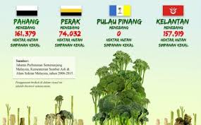Wartawan Rasmi Laman Reformasi Tidak Seinci Hutan Simpan Kekal Pulau Pinang Disentuh
