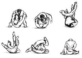 Tomoe Miki Komi Jiu Jitsu Jiu Jitsu Memes Martial Arts Workout