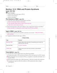 Chromosomes are bundles of dna and protein found in the nucleus of a eukaryotic cell. 14 2 Human Chromosomes Answer Key