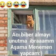 750 Begenme 14 Yorum Instagram Da Gulmek Icin Bize Katil Delidolu 2020 Asama Menemen Yapcam B 2020 Komik Deyisler Komik Seyler Komik