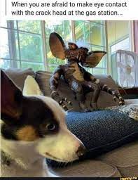 Pin On Relatable Memes