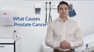 Prostate cancer affects thousands of men in the uk every year. What Causes Prostate Cancer Prostate Cancer Foundation