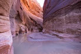 This complete paria canyon backpacking guide covers permits, camping, maps, gear, and more to prepare you for this epic utah hike. Paria Canyon Backpacking Guide Bearfoot Theory