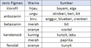 Check spelling or type a new query. Macam Macam Zat Aditif Dan Namanya Halaman All Kompas Com
