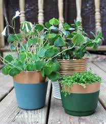You can even spray paint plastics with the right products, so it's easy to jazz up anything from outdoor furniture to switch covers to picture. Faux Copper Foil Spray Paint Plastic Planters Stowandtellu Salvaged Living