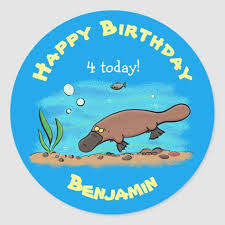 Cute Platypus Swimming Cartoon Classic Round Sticker Zazzle Com In 2020 Swimming Cartoon Round Stickers Create Custom Stickers