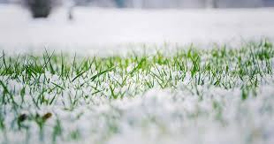 Get the best lawn care software for your business. Winter Lawn Care Tips Gb Lawncare