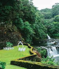 Hawaii Wedding Venues For Any Budget Wedding Venues Hawaii Hawaii Destination Wedding Hawaii Wedding