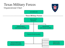 15 Rare National Guard Organization Chart