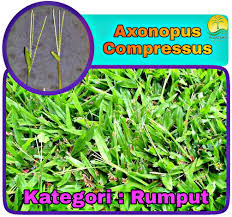 We did not find results for: Operasi Penyeliaan Ladang Kelapa Sawit Objave Facebook