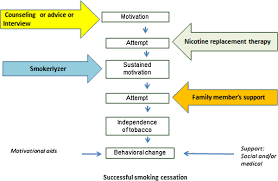 a conceptual model of evidence based interventions and their