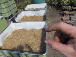 wicking beds how to make ibc self watering garden beds wicking garden bed wicking beds aquaponics fish