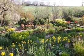 Garden Designs Ideas 2018 Carol Klein S Garden Green Home Garden Design Dream Garden Landscape Design