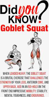 And also recorded in group programs and personal training. 5 Squat And Lunge Variations That Seriously Tone Your Backside Gymguider Com A Goblet Squat Is Squats And Lunges Gym Workout Tips Weight Training Workouts