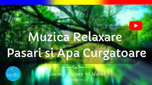 Muzica de petrecere vokoca hopa dirida. Muzica De Relaxare Cu Pasari Si Apa Curgatoare Youtube