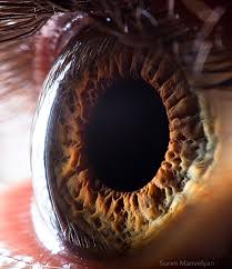 Extreme Close Ups Of The Human Eye Bored Panda Old people design resources · high quality aesthetic backgrounds and wallpapers, vector illustrations, photos, pngs, mockups, templates and art. extreme close ups of the human eye