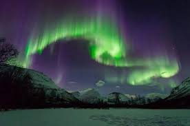 Small Group Aurora Hunt Northern Lights Tour From Tromso Provided By Wandering Owl Tromso Trom Northern Lights Tours Northern Lights See The Northern Lights