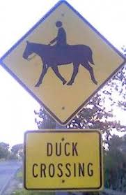 Top 10 Bizarre Road Signs Funny Road Signs Funny Street Signs Fun Signs