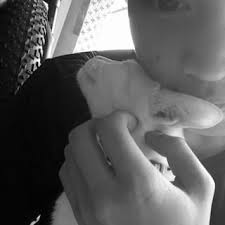 Frederick Yong (@_peuledeulig)