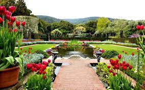 We did not find results for: Top 10 Most Popular Flowers To Plant In Your Garden Topteny Com