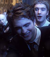 #cedric #cedricdiggory #harrypotter #edit #fyp #fypシ゚viral #video_viral  (original content)