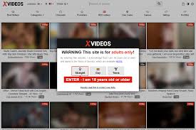 XVideos & 29 Free Porn Tube Sites LIKE Xvideos.com
