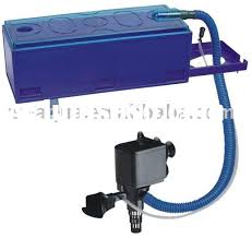 Tips membuat filter aquarium, tanpa kuras air. Inilah Jenis Jenis Filter Aquarium Air Tawar Yang Perlu Anda Ketahui Dunia Akuarium