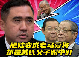 宾果日报Bingo Daily