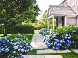 A perfect pairing for the modern country garden. Landscaping And Garden Design Plan Hydrangea Boxwood Peonies Lavender Jenny Steffens Hobick