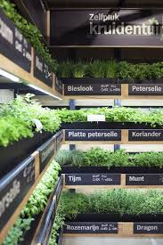 Studiomfd Instore Herb Garden Retail Design Green Eco Albert Heijn Xl Www Studiomfd Com Supermarket Design Grocery Store Design Retail Design