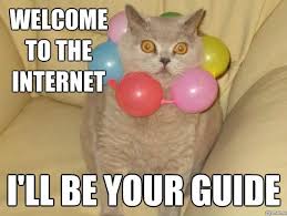 Image result for welcome to the internet meme