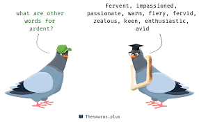 Words Ardent And Zealous Have Similar Meaning