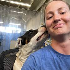 Adopted!* S'mores is available for adoption today! ACT Hannah helped him  get settled when he first arrived at the shelter. From Hannah: “He's such a  Velcro boy he climbed into my lap