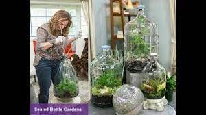 How to make a bottle garden video. Closed Terrarium Diy Sealed Bottle Gardens Closed Terrarium Plants Shirley Bovshow Youtube
