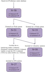 Figure A 1 Flow Chart Of Included Children With Cerebral