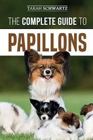 Papillons are active, playful, and full of personality. The Complete Guide To Papillons Choosing Feeding Training Exercising And Loving Your New Papillon Dog Amazon De Schwartz Tarah Fremdsprachige Bucher