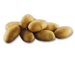 Maybe you would like to learn more about one of these? Agria Patata Plantgest