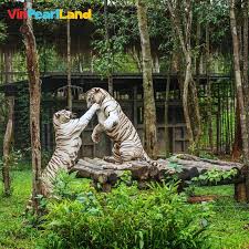 Cây phong thủy, cây cảnh nghệ thuật, cây trồng trong nhà, cây văn phòng, sân vườn. Bach Thu Safari Phu Quá»'c Co Gi Hay