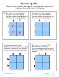 The handouts are application oriented and supplemental to the more important thing like creating in the classroom and hands on labs. 9 Year 10 Genetic Crosses Ideas Genetics Biology Teaching Science