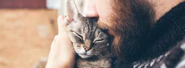 Fill out your postcode below to check the level of service at your nearest pdsa pet hospital. How Do Cats Show Affection Purina