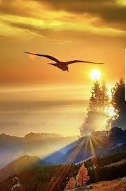 Lilian2020 On Twitter In 2020 Beautiful Nature Nature Photography Nature Pictures