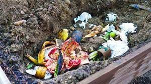 Save vegetable and fruit scraps for the whole day. Bury Kitchen Scraps Directly In Garden And This Happens Youtube