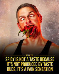 Image result for Taste Sensation