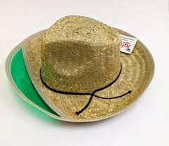 Red Hill General Store Straw Hat With Visor