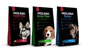molina pet food korm dlya sobak zhivotnye sobaki