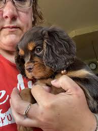 She's got a home now