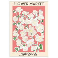 Astrid wilson lima art print | homeware. Where I Buy Affordable Art Interior Emma Rose Style