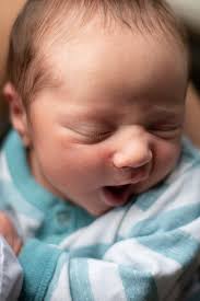 Marlene paradis photo